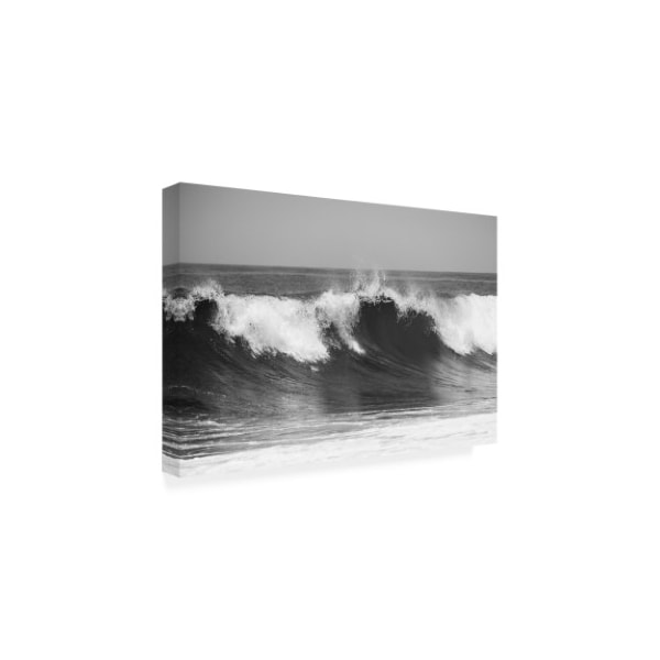 Vladimir Kostk 'Wave BW' Canvas Art,12x19